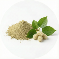 Mûrier Blanc (Morus Alba)